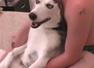 Handsome husky wants to totally stuff this tight pussy