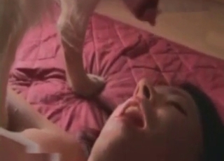 Hound is getting in the awesome bestiality porn