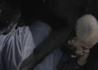 Sexy trained animal passionately fucked from behind