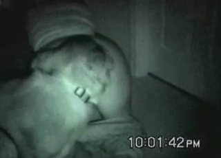 Dark time is best time for fucking amazing animals