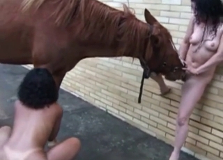 Watch how she is sucking a big horse boner