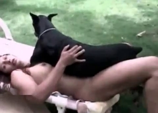 Dominant large Doberman is on top of a horny zoophiliac
