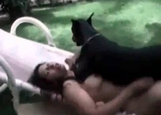 Dominant large Doberman is on top of a horny zoophiliac