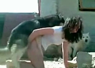 Stunning brunette is having bestial sex outdoors