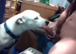 Handsome hound is all about that bestiality