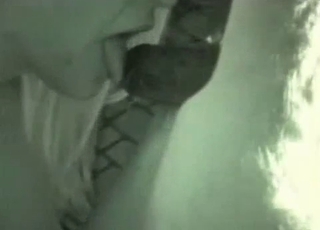 Camera films an incredibly filthy bestiality action