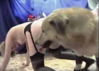 Doggy is enjoying anal sex with this hooker