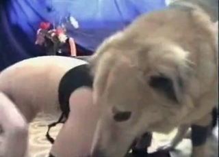 Doggy is enjoying anal sex with this hooker