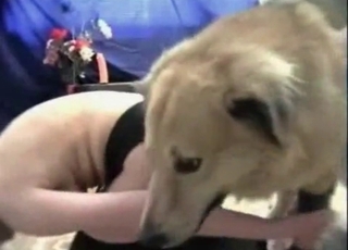 Doggy is enjoying anal sex with this hooker