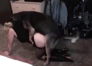 Animal is having bestial sex with a hot blonde