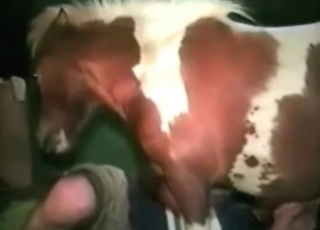 Amateur bestiality fun in this amazingly hot video