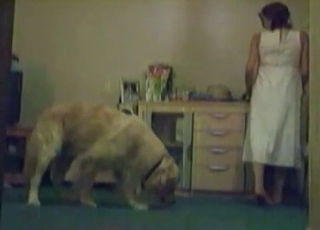 This whore wears white clothes and goes for a dog cock