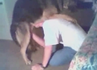 Filthy pooch having all sorts of kinky blowjob and handjob fun