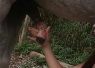 Latina is giving a handjob to an incredibly big cock