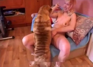 Sexy doggy gives a cunnilingus for a hot zoophile