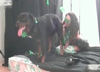 Doggy got pleased by a sexy zoophile hooker