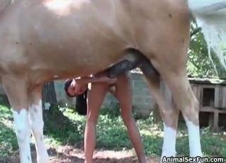 Stallion sex action with a passionate hottie