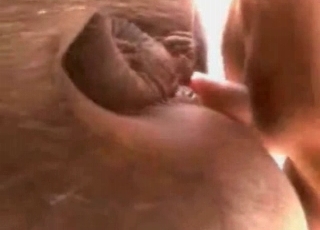 A tight brown hole gets totally punished in this video