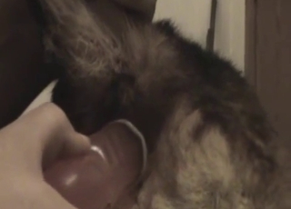 A man is really enjoying his free time with this puppy