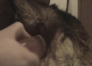 A man is really enjoying his free time with this puppy