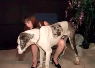 Slow but passionate video for all zoophiliacs out there