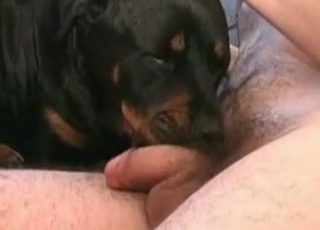 Doggy licks and sucks a real zoophile's dick