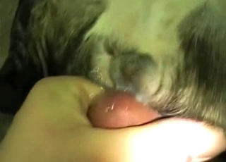 Watch the best bestiality porn scene right here