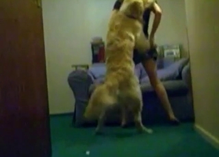 Awesome sexual action for a really large dog