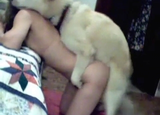 Animal pounds her tight hole with pleasure