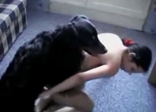 Tiny black puppy is having a passionate sex session