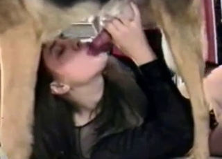 Amateur bestiality where a doggo gets a sloppy BJ