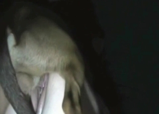 HQ bestiality entertainment with fucking from behind