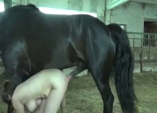 Dark pony is showing off its really big dick