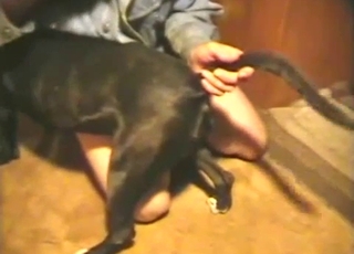 Watch how he is drilling his lovely animal