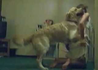 Amateur with a red mask gets properly banged by Tyke