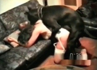 Black doggy knows how to please her tight cunt