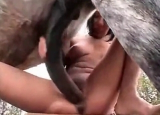 Sexy pet got nicely fucked by a crazy lover