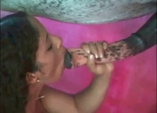 Cock enters a tight hole of a sweet animal