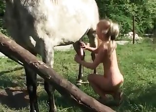 Lovely blonde slut is sucking the big cock of a horse