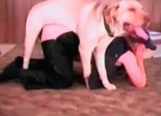 Impressive oral job sex with a good-looking rear end