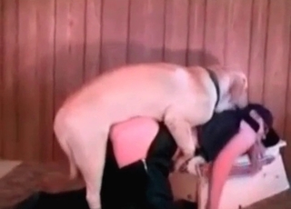 Impressive oral job sex with a good-looking rear end