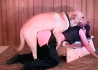 Impressive oral job sex with a good-looking rear end