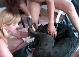 Couple of the zoophiles and doggy