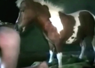 Dog is having an awesome sex at the farm