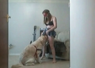 Musician is having sex with a dog