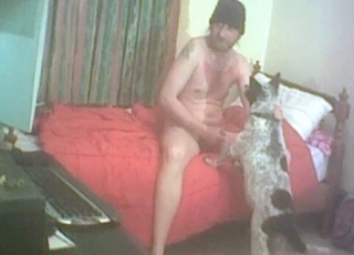 Hot bestiality porn in the close-up shot