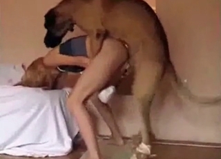 Hound's wiener is a gift for a zoofil