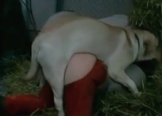 This whore wears red pants and gets banged in doggy style