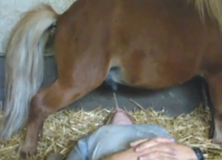 Pony pissing everywhere, including that mouth