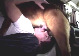 Zoo XXX with a gay dude sampling dog's knot